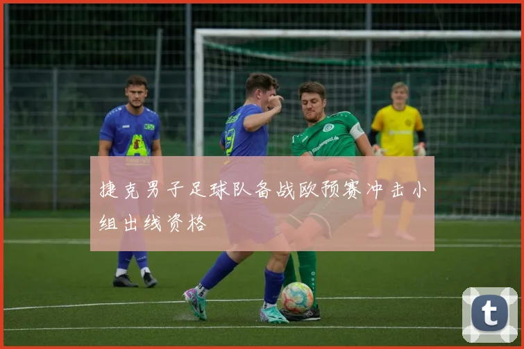 捷克男子足球队备战欧预赛冲击小组出线资格