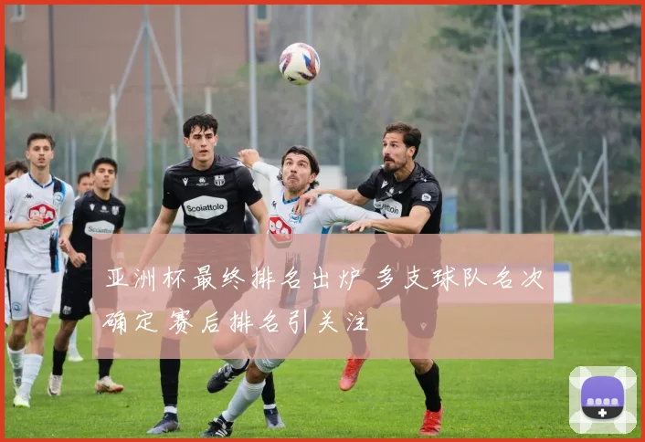 亚洲杯最终排名出炉 多支球队名次确定 赛后排名引关注