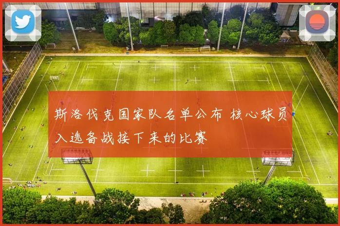 斯洛伐克国家队名单公布 核心球员入选备战接下来的比赛