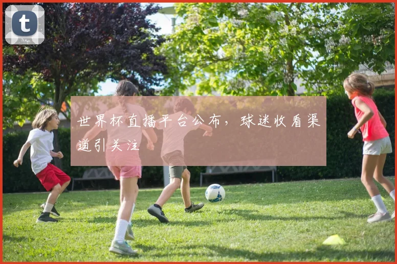 世界杯直播平台公布，球迷收看渠道引关注