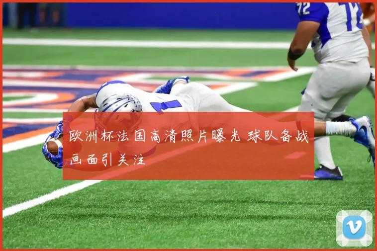 欧洲杯法国高清照片曝光 球队备战画面引关注