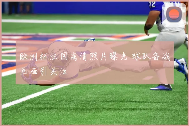 欧洲杯法国高清照片曝光 球队备战画面引关注