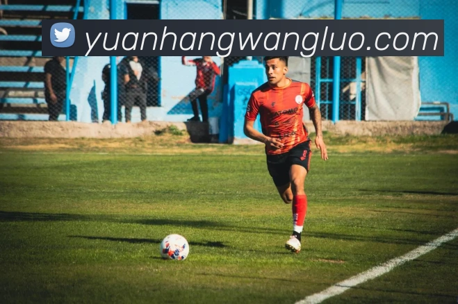 leyu乐鱼官方官网APP 体育赛事宣传图